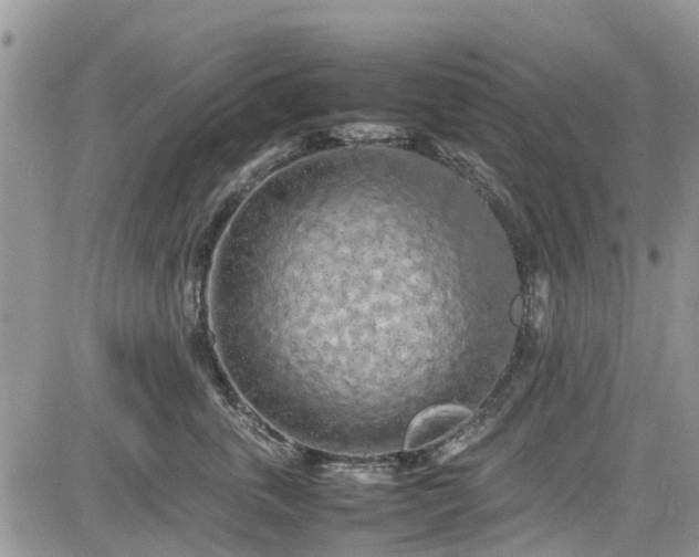 X0000085270763200703161429