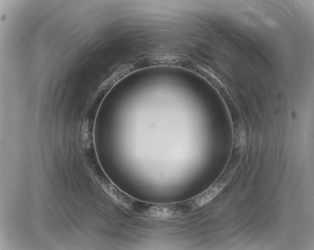 X0000085270764200703161429