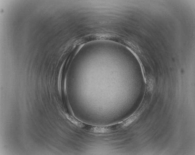 X0000085270766200703161429