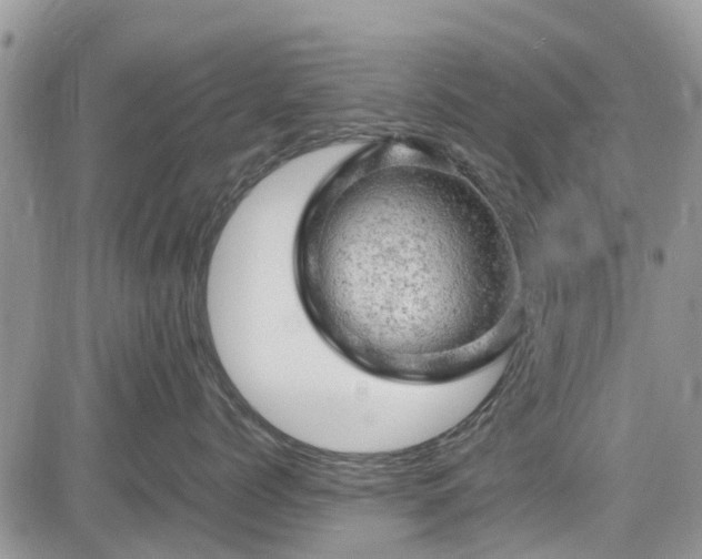 X0000085270768200703161429