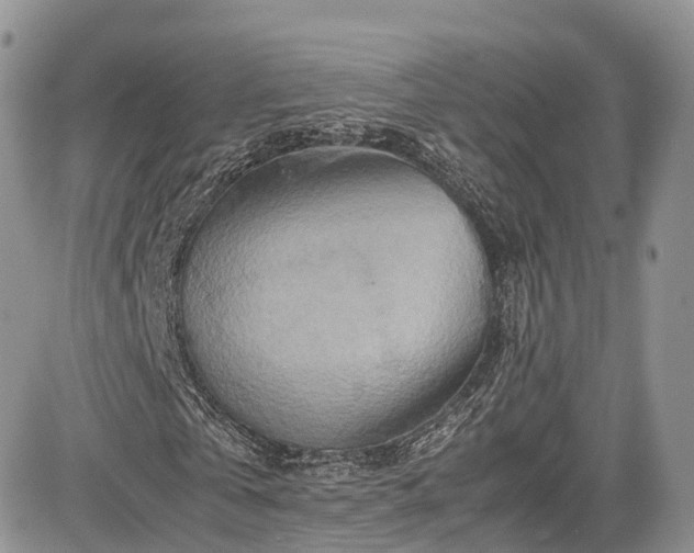 X0000085270769200703161429