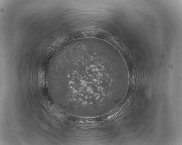 X0000085270772200703161429