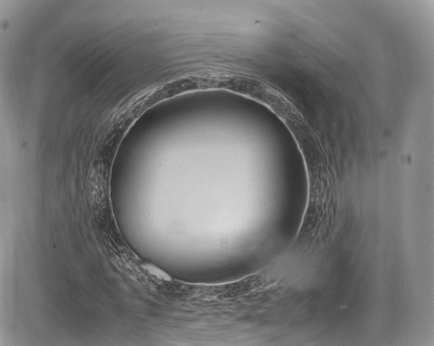 X0000085270773200703161429