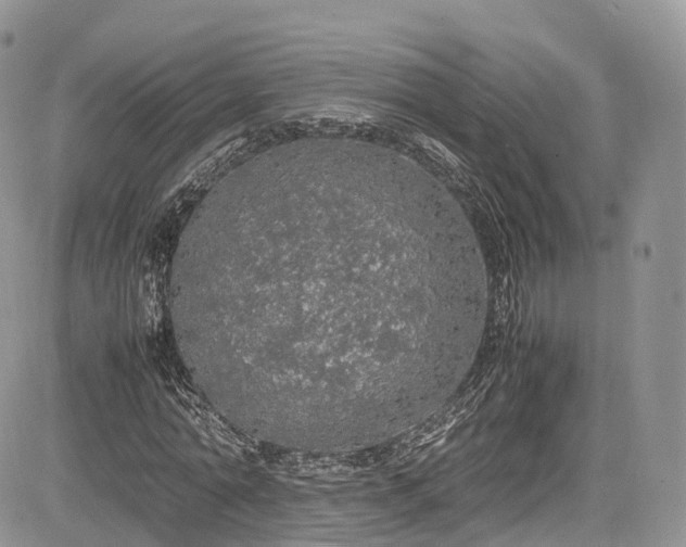 X0000085270774200703161429