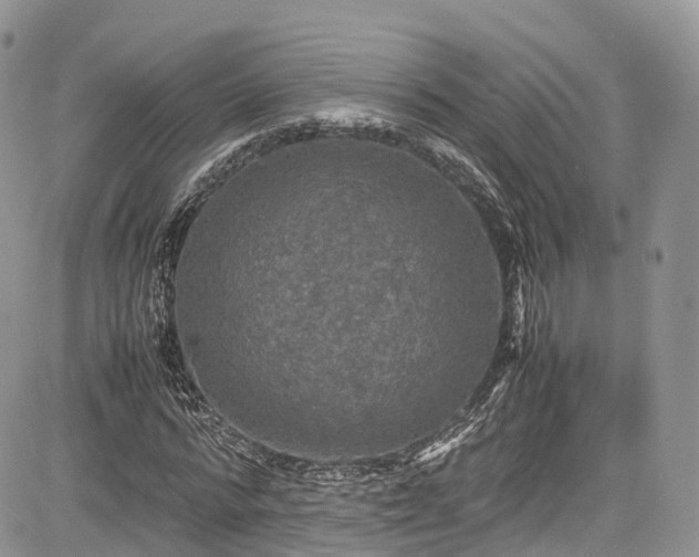 X0000085270776200703161429