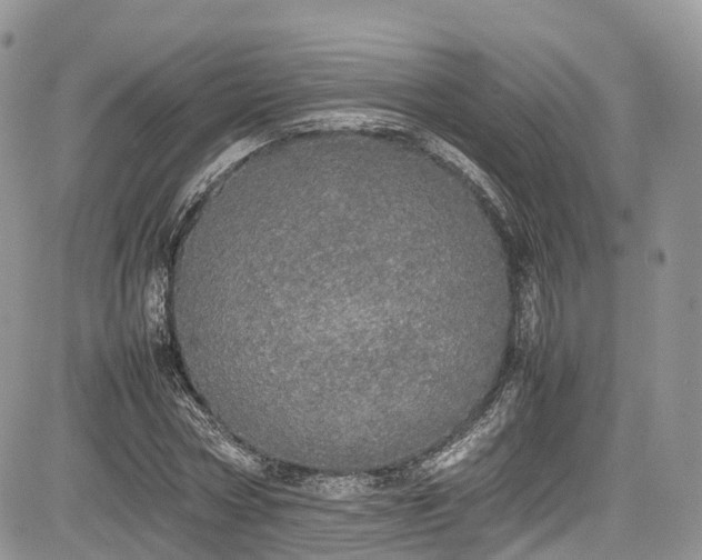 X0000085270778200703161429