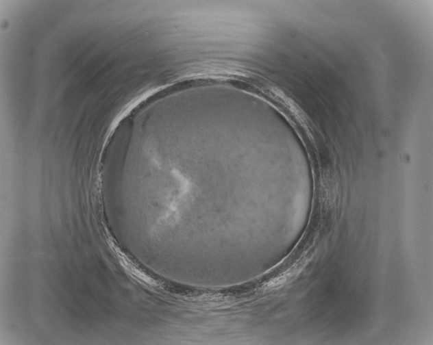 X0000085270779200703161429