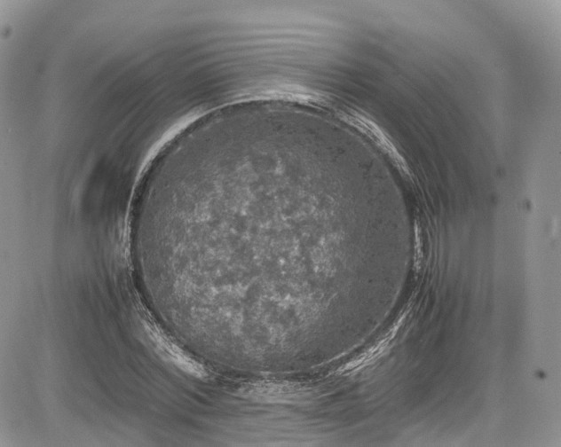 X0000085270780200703161429