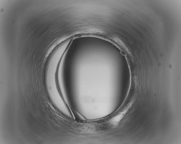 X0000085270781200703161428