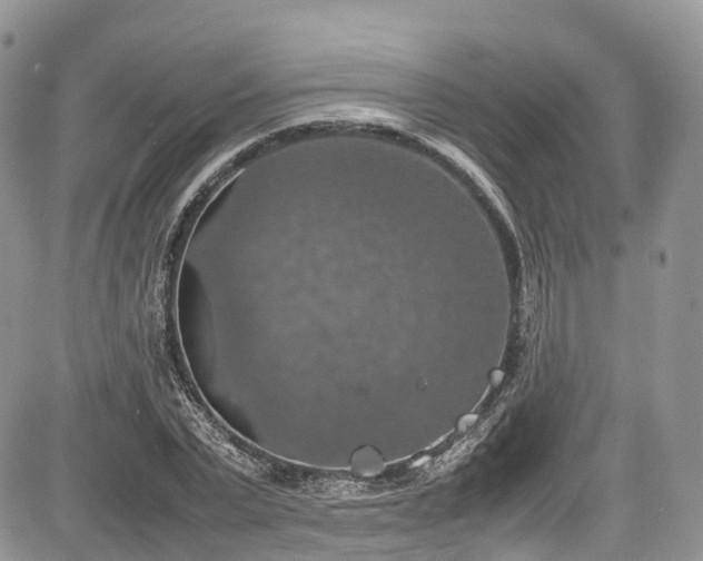 X0000085270783200703161428