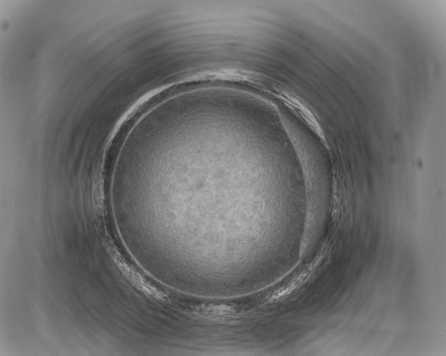 X0000085270784200703161428