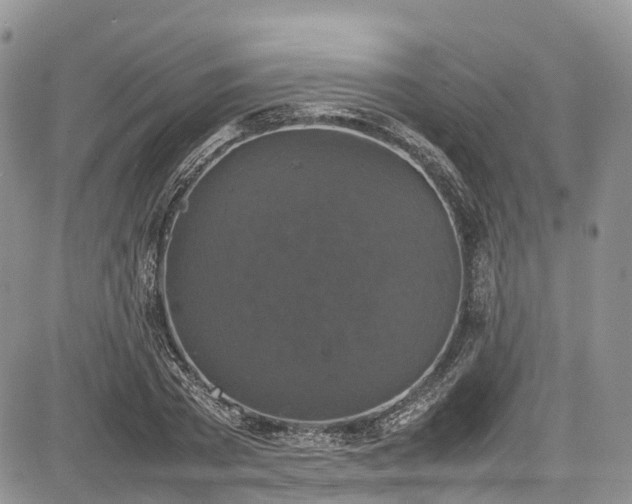 X0000085270785200703161428