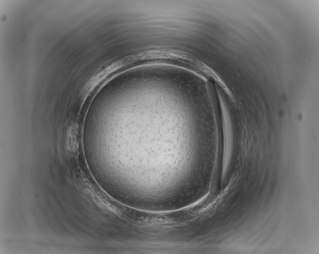 X0000085270786200703161428