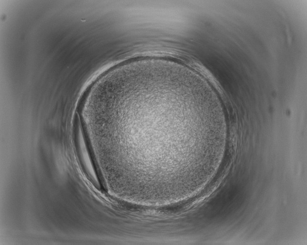 X0000085270787200703161428