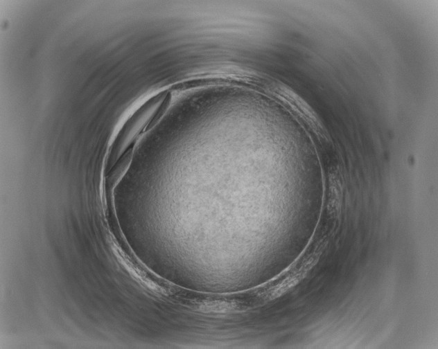 X0000085270788200703161428