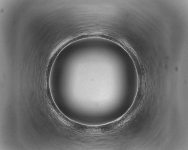 X0000085270789200703161428