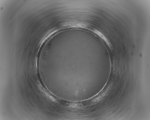 X0000085270790200703161428