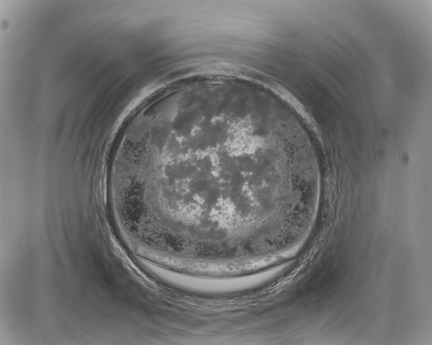 X0000085270791200703161428