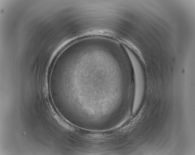 X0000085270792200703161428