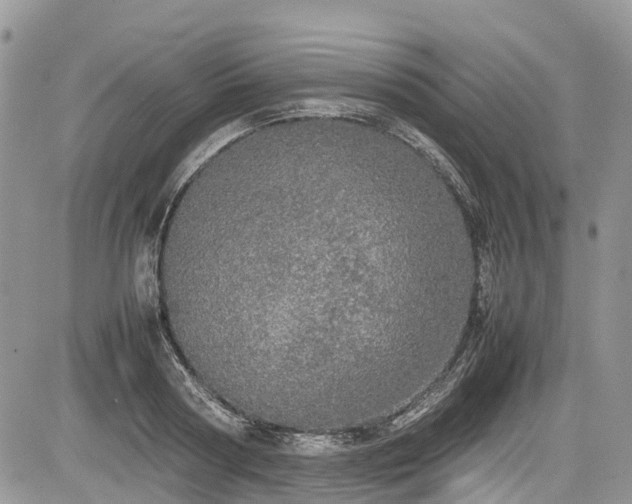 X0000085270794200703161428