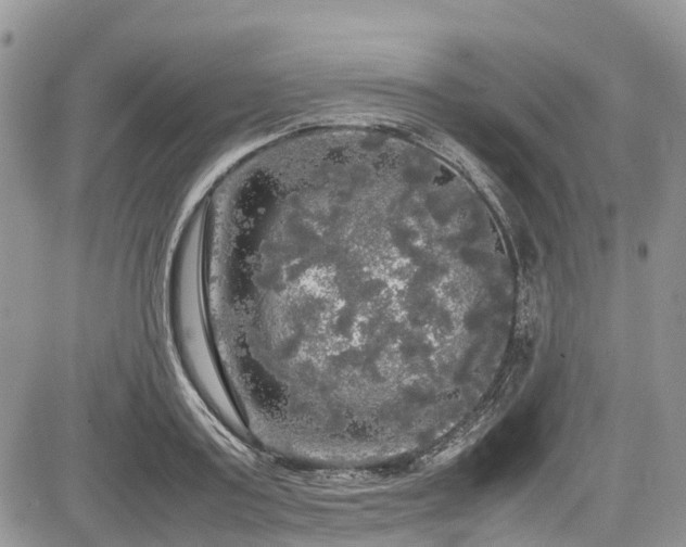 X0000085270795200703161428