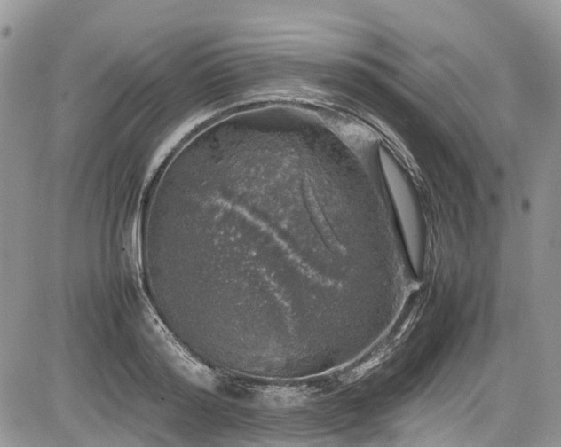 X0000085270796200703161428