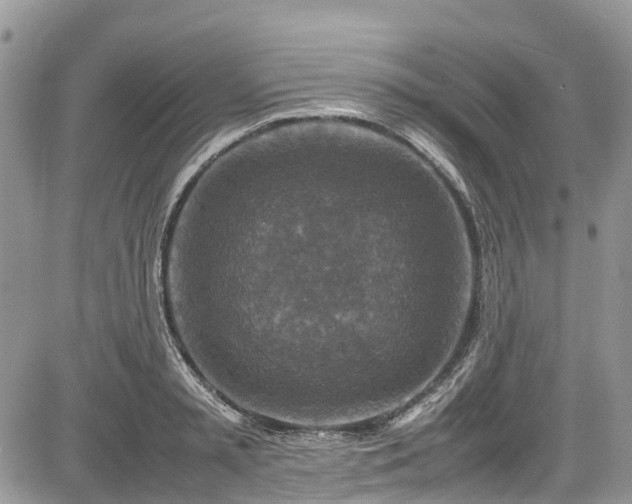 X0000085270797200703161428