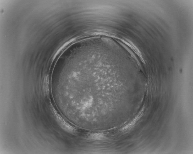 X0000085270798200703161428