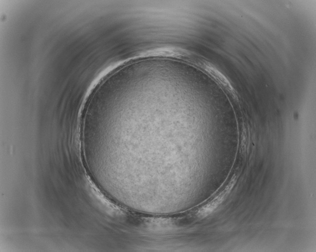 X0000085270800200703161428