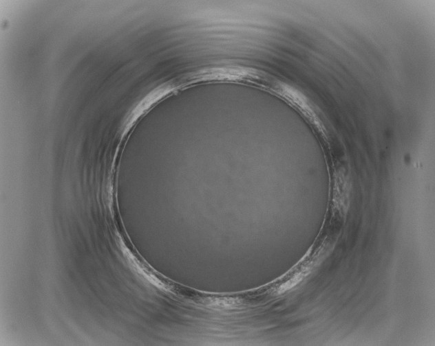 X0000085270802200703161428