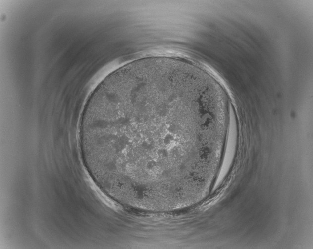 X0000085270803200703161428