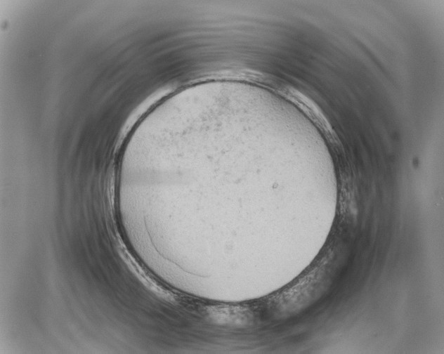 X0000085270804200703161428