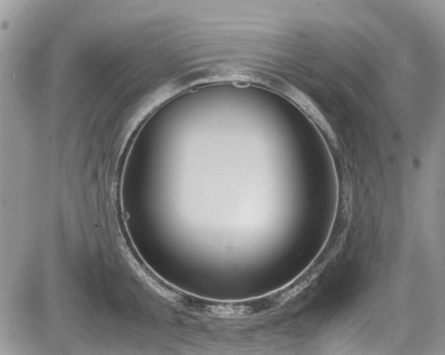 X0000085270805200703161428