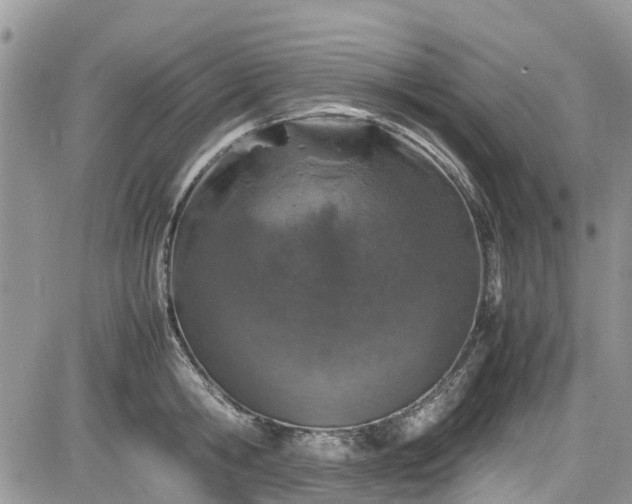 X0000085270806200703161428