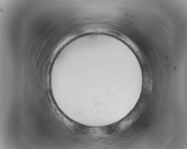 X0000085270807200703161428