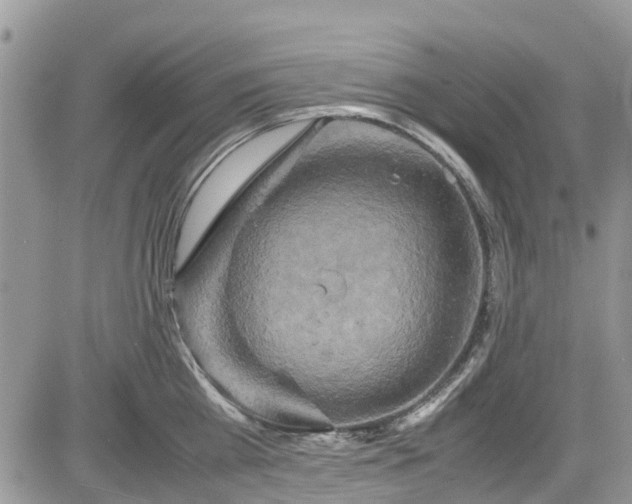 X0000085270809200703161428