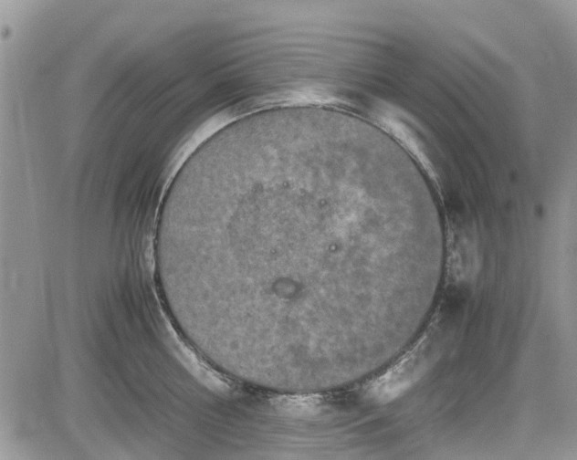 X0000085270810200703161428