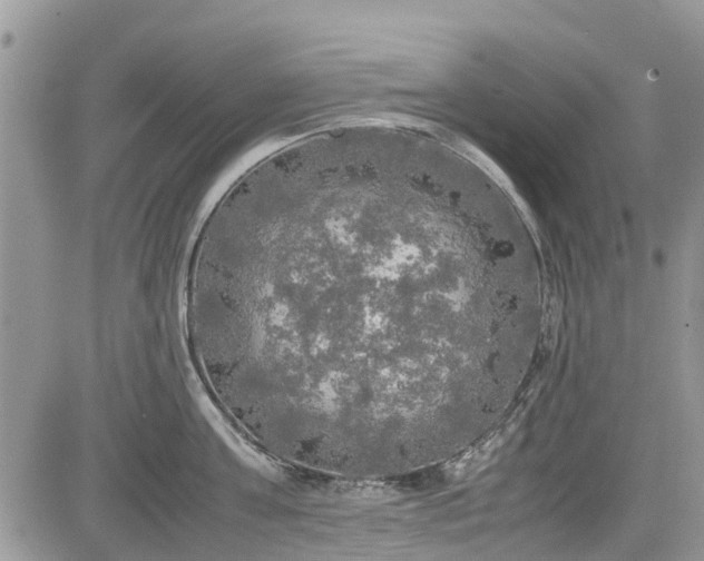 X0000085270811200703161428