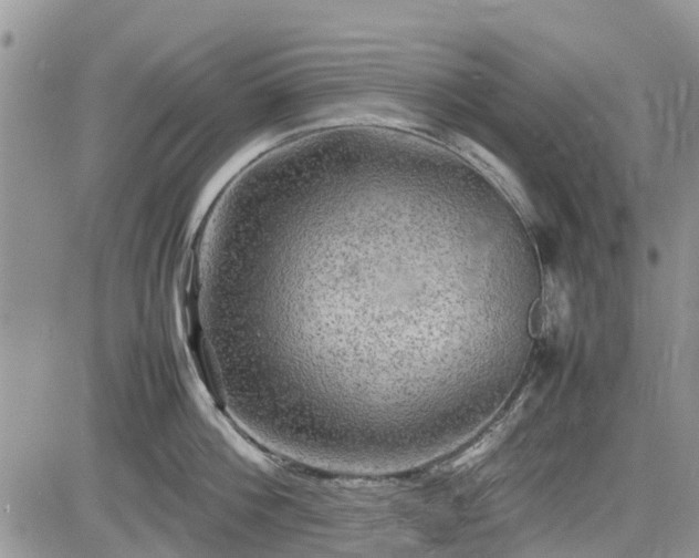 X0000085270812200703161428