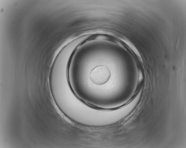 X0000085270813200703161428