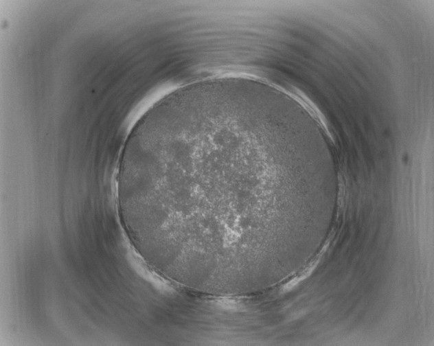 X0000085270814200703161428