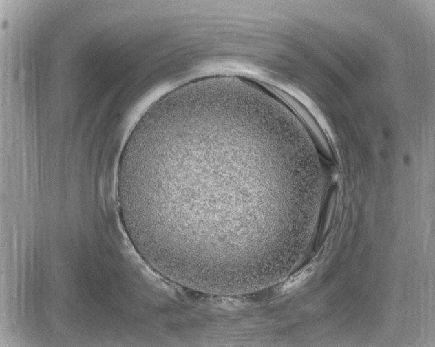 X0000085270815200703161428