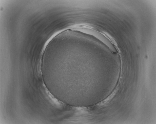 X0000085270816200703161428