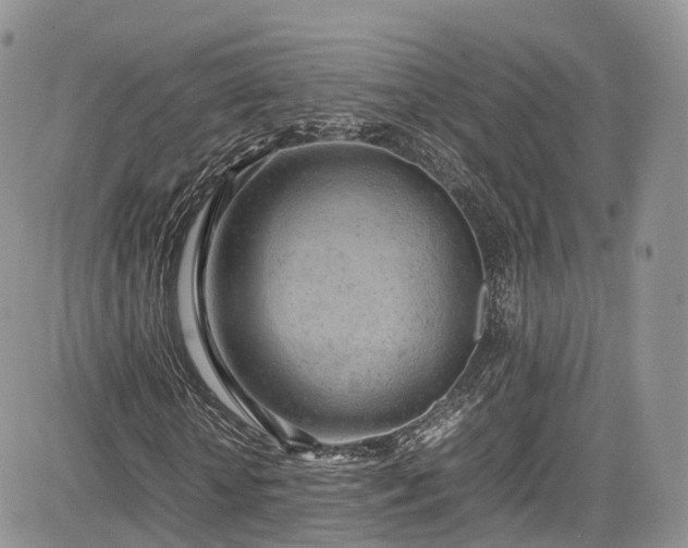 X0000085270818200703161427