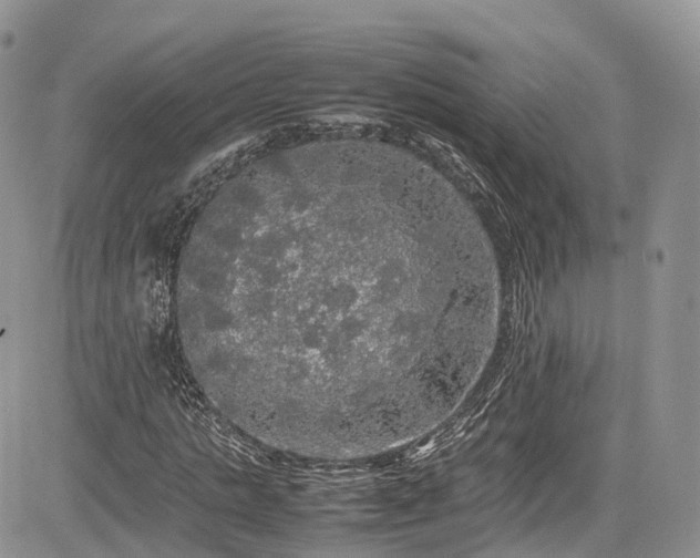 X0000085270821200703161427