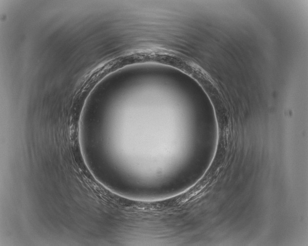 X0000085270822200703161427