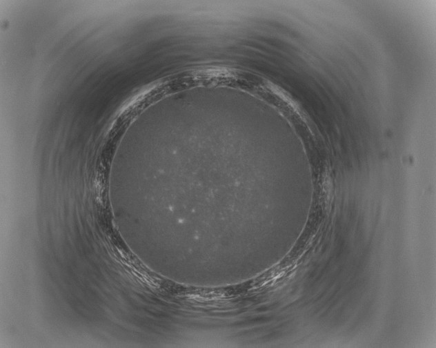 X0000085270823200703161427