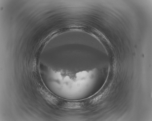 X0000085270825200703161427