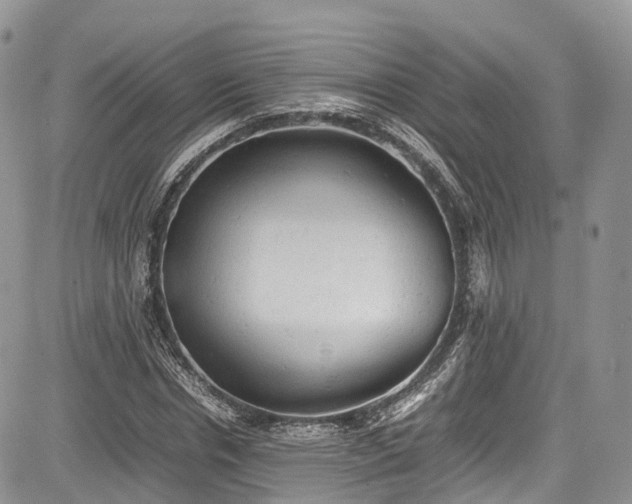 X0000085270826200703161427