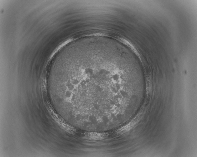 X0000085270827200703161427